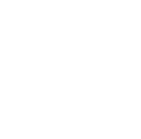 The University of the State of New York