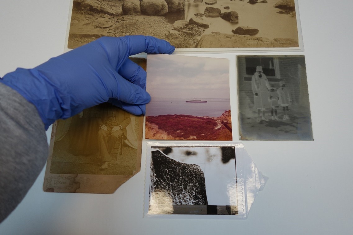 A person’s hand lifting a photograph while wearing nitrile gloves. 