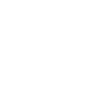The University of the State of New York